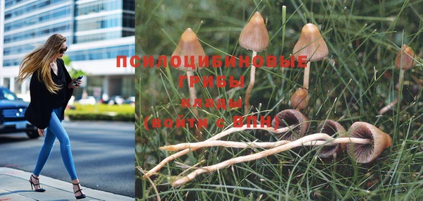 наркотики Заводоуковск