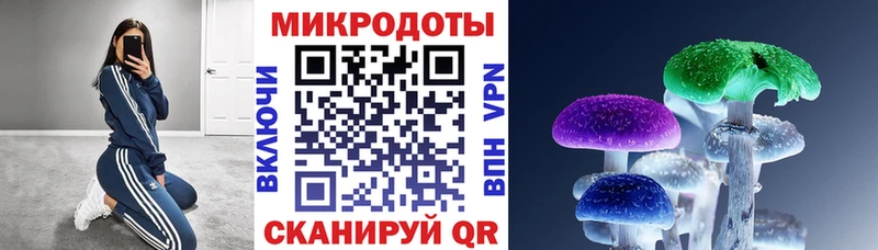 Галлюциногенные грибы мицелий Купить Бавлы